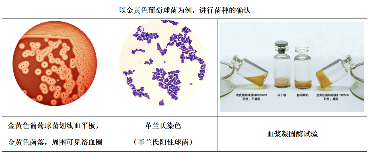 1101無(wú)菌檢查法——培養(yǎng)基適用性檢查操作要點(diǎn)（中國(guó)藥典2020年版四部）