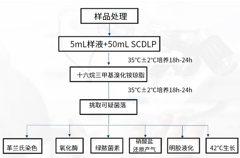 一次性衛(wèi)生用品之綠膿桿菌檢測(cè)